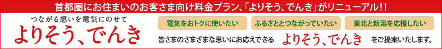 よりそう、でんき