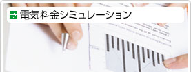 �d�C�����V�~�����[�V����