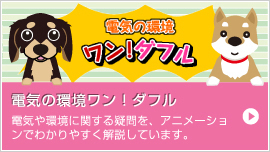 電気の環境ワン!ダフル