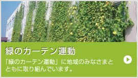 緑のカーテン運動