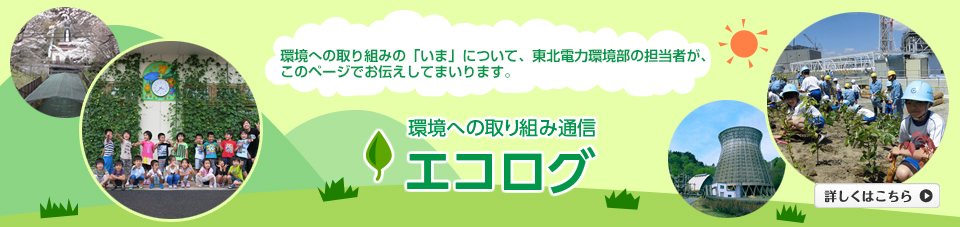 ���ւ̎��g�ݒʐM �G�R���O