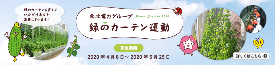 �΂̃J�[�e���^��