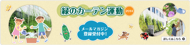 緑のカーテン運動2013