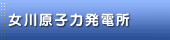 ���쌴�q�͔��d��