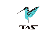 ���k�G�A�T�[�r�X