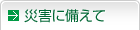 �ЊQ�ɔ�����