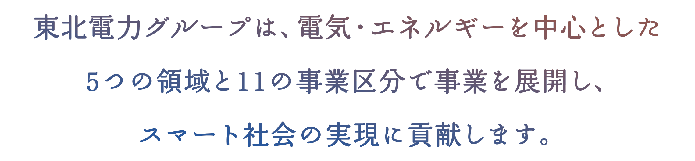 ���k�d�̓O���[�v�́A�d�C�E�G�l���M�[�𒆐S�Ƃ���5�̗̈��11�̎��Ƌ敪�Ŏ��Ƃ�W�J���A�X�}�[�g�Љ�̎����ɍv�����܂��B