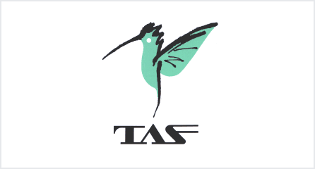 ���k�G�A�T�[�r�X�������