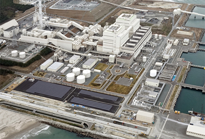 �������z�����d��