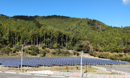 �Ί��Y�����z�����d��