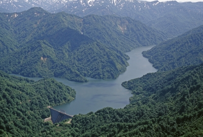 ���v�a���d��