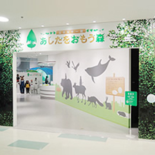 �G�l���M�[�� ���������������X