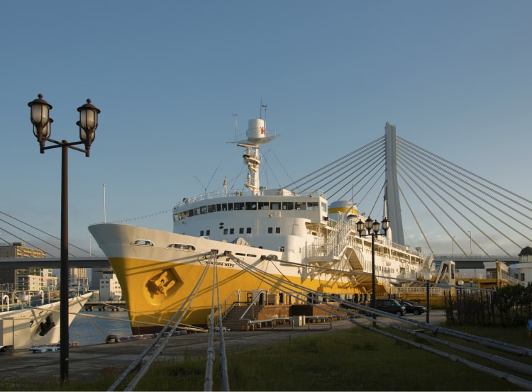 ���A�����������A���V�b�v���b�c��