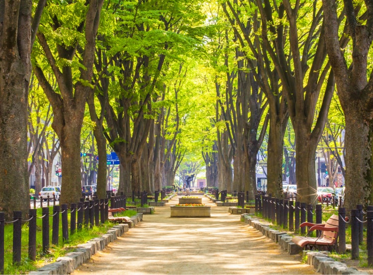 ��T���ʂ�