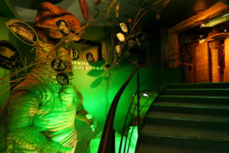 �G�l���M�[�̐X