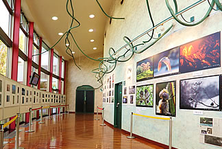 �W���M�������[