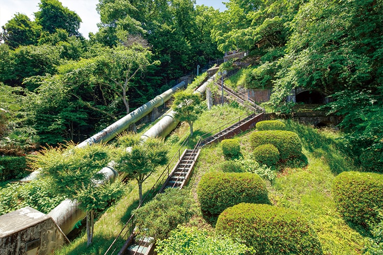 ���ƐX�̃e���X