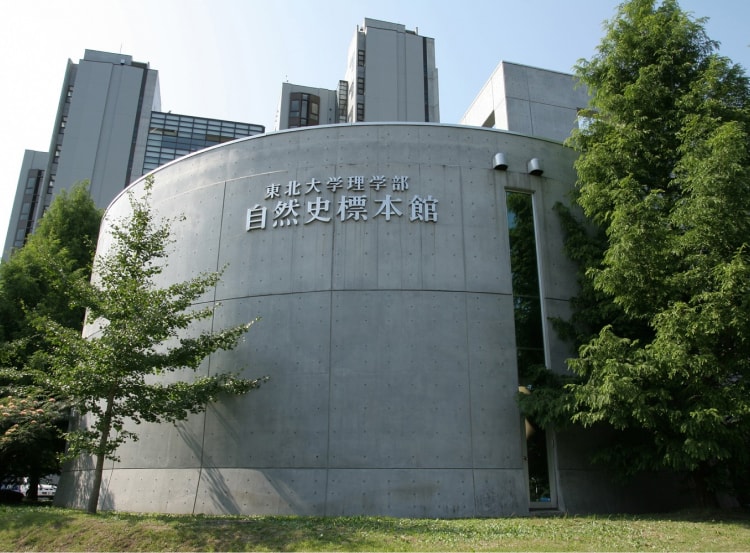 ���k��w�����w�p�����فi���w�����R�j�W�{�فj