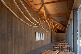 MINAMO���E���W