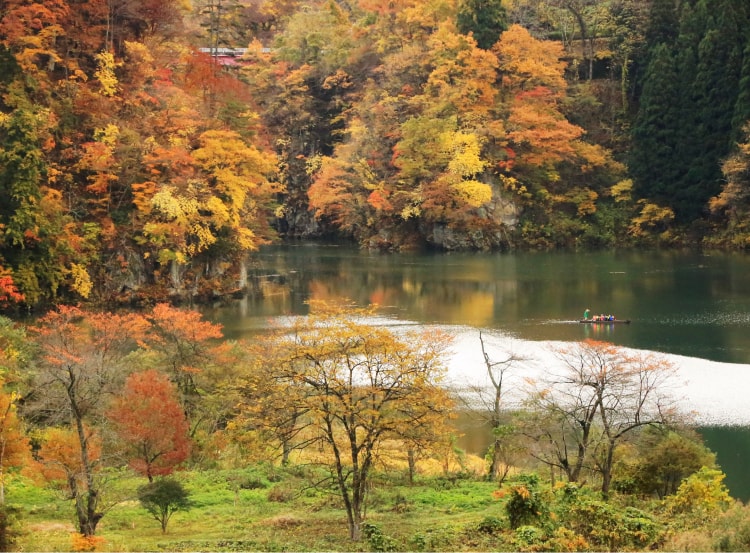 �������̓n��