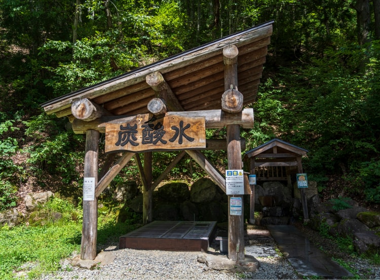 �剖�V�R�Y�_��