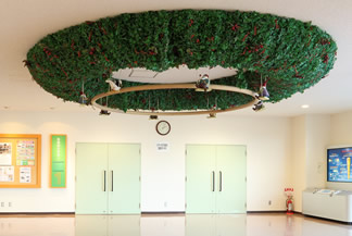 �E�F���J���z�[��