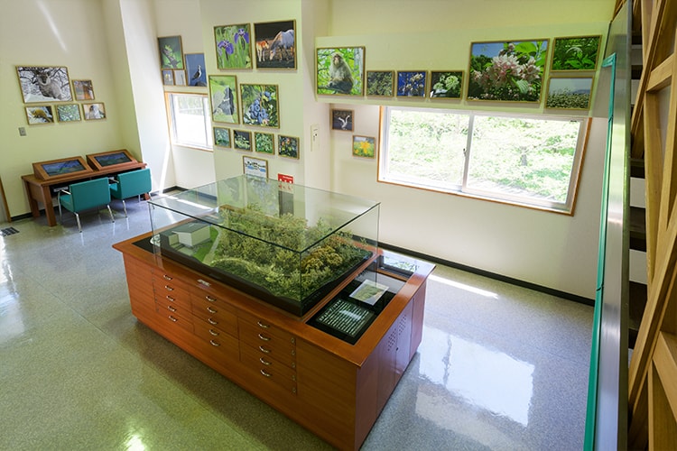 ���񂪂��فu�W�I���}�}�b�v�v