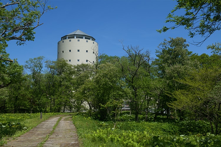 �G�f���g�[�v