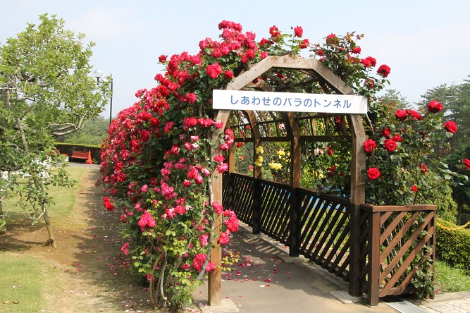 �u���q���܂̉��K�E���S�E���S�̎����v�Ɍ����āA���k�d�̓t�����e�B�A�ݗ� �C���[�W