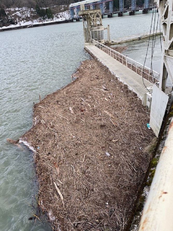 �Z��o�� �C���[�W