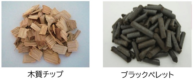 �Η͂̒E�Y�f���Ɍ�������̓I�Ȏ��g�� �C���[�W