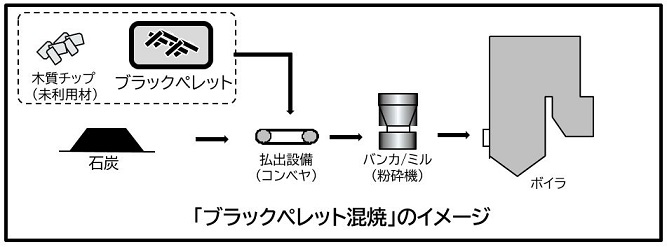 �Η͂̒E�Y�f���Ɍ�������̓I�Ȏ��g�� �C���[�W