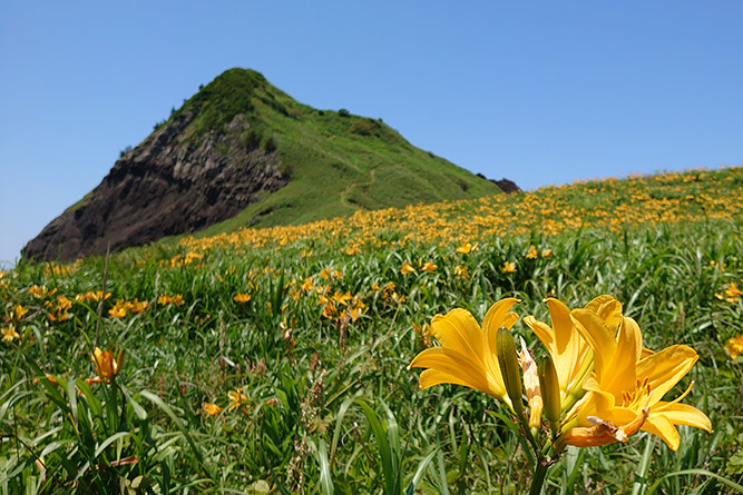 ���n�Ȃ�ł͂̔������厩�R �C���[�W2