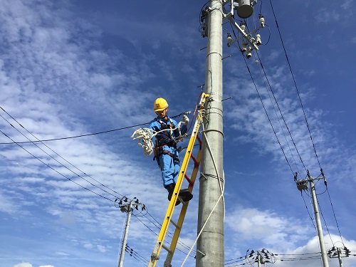 �P�D���ЂP�N�ڂ�U��Ԃ��� �C���[�W1