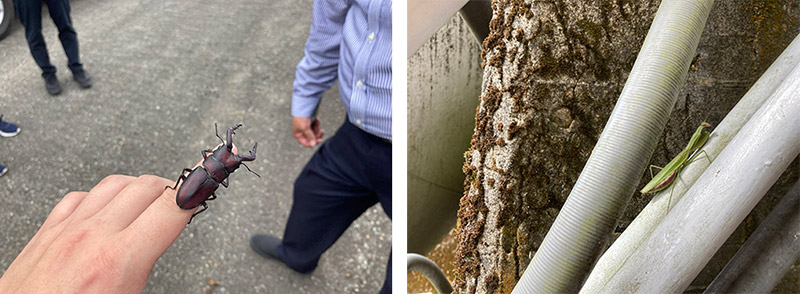 �H�c�E�R�`�E�{�錧���̂U�ӏ��ŎB�e�B������Ԃ�7�����ɂ��y�� �C���[�W3