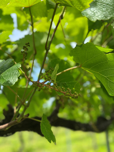 �ꐢ�I�̎��𒴂��āA���{�̃��C���̗��j�����u��̌��������v �C���[�W3