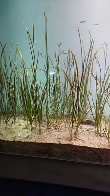 Program�Q.�����ق̌��w �C���[�W2