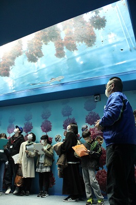 Program�Q.�����ق̌��w �C���[�W3