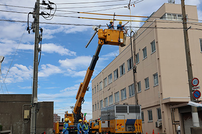 �P���z��Ǝ��{���e �C���[�W16