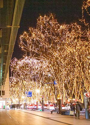 ���N���J���A�e�[�}�́w�k������ �����C�j������ �r�l�h�k�d�I�x �C���[�W3