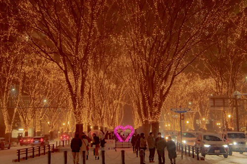 ���N���J���A�e�[�}�́w�k������ �����C�j������ �r�l�h�k�d�I�x �C���[�W7