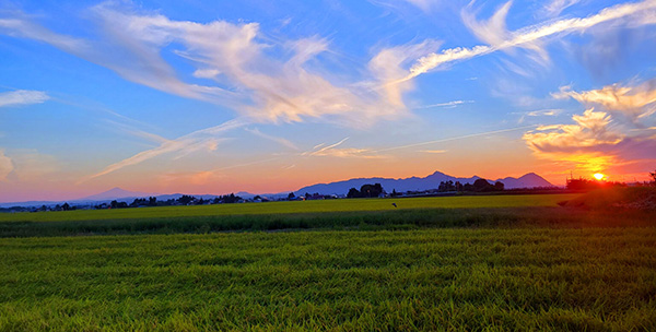 �ڎw�������Ƒ�؂ɂ��Ă������ �C���[�W1