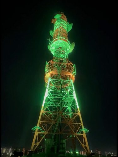 �������Ă����ׂ��A�c�����{�X�̂������ߏ��i �C���[�W4