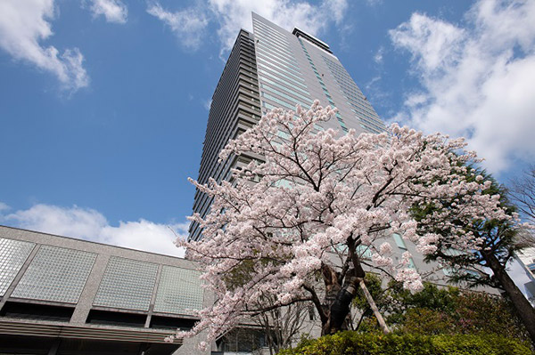 �����̐V���Ј��̊F����̗l�q�ł� �C���[�W9