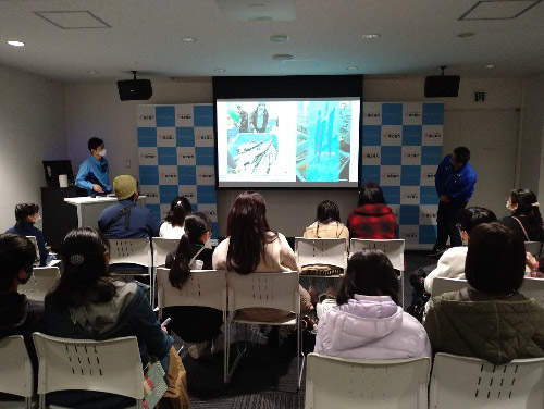 Program�P�D���ƃG�l���M�[�u�� �C���[�W1