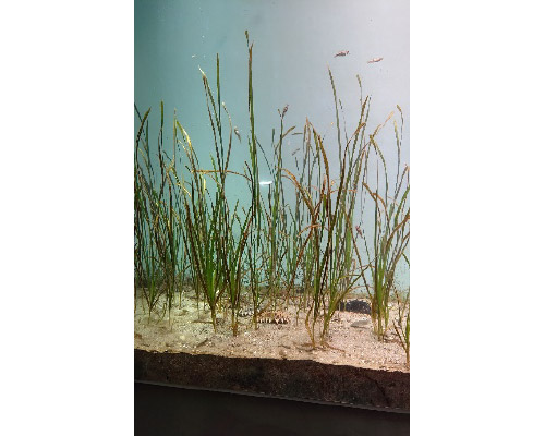 Program�Q.�����ق̌��w �C���[�W2