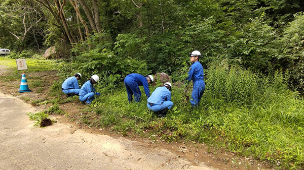 ���d�����ӂ̍ݗ��A���Ɉ��e�����y�ڂ��I�I�n���S���\�E �C���[�W1