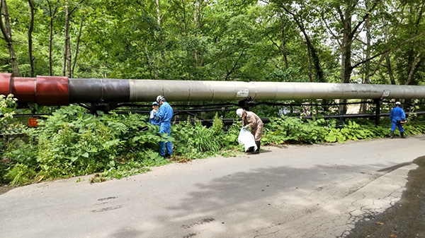 ���k���R�G�l���M�[ ���Ύ��Ə��̉��������ɕ����܂����B �C���[�W2