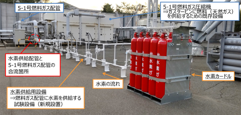 �v�Q��̐��f���Ď����ɐ����I �C���[�W1