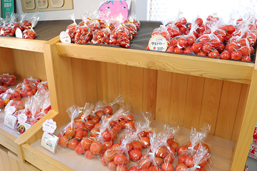 �q�[�g�|���v���p�����H���Ă���g�}�g�_�Ƃ��܂ւ��b���f���܂��� �C���[�W5